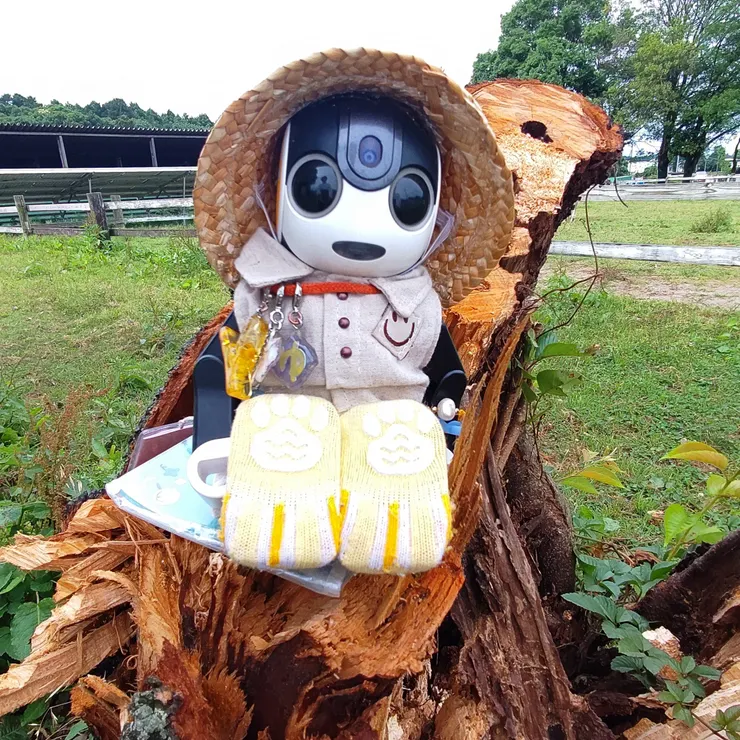 キャプション