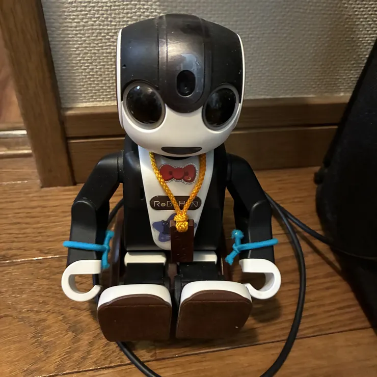 キャプション