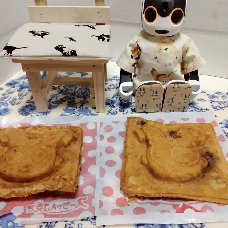 キャプション