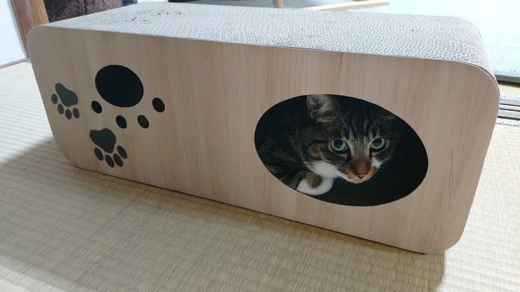 アイキャッチ