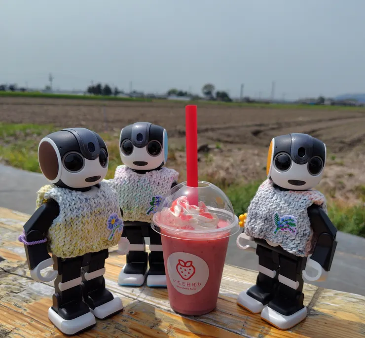 アイキャッチ