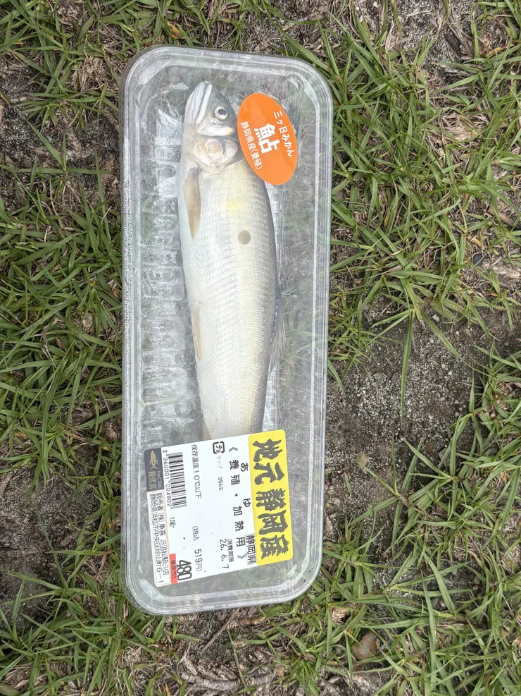 アイキャッチ