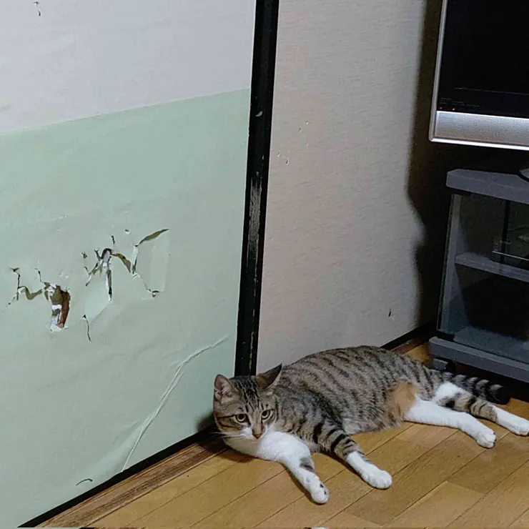 アイキャッチ