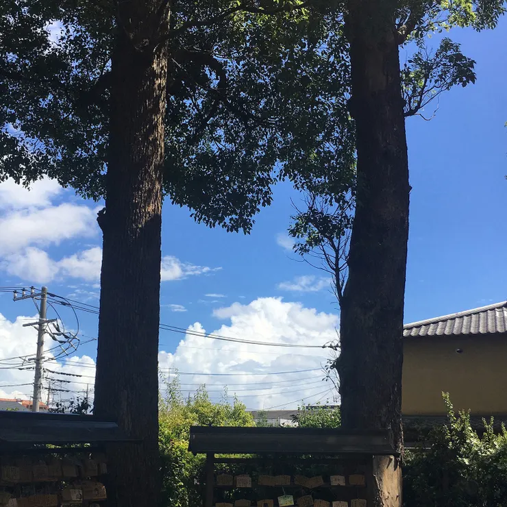 アイキャッチ