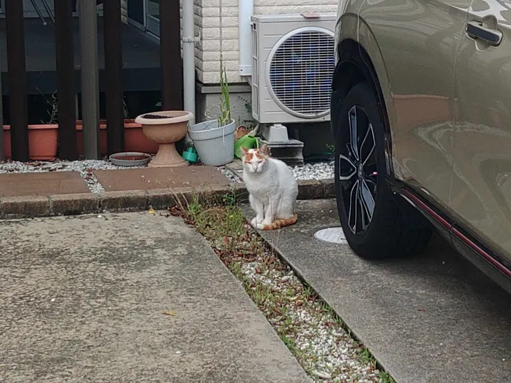 アイキャッチ