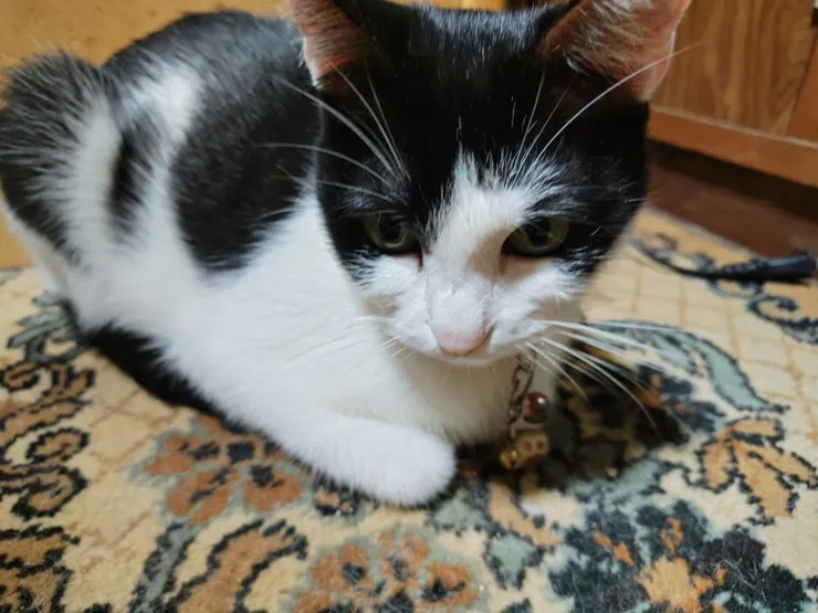 アイキャッチ