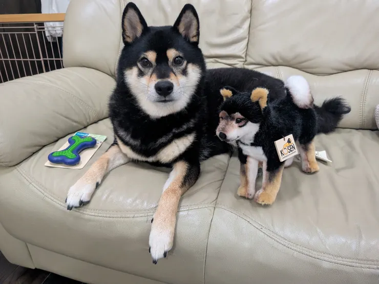アイキャッチ