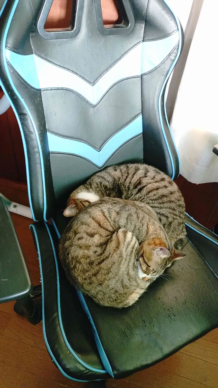 アイキャッチ