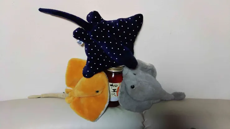 アイキャッチ