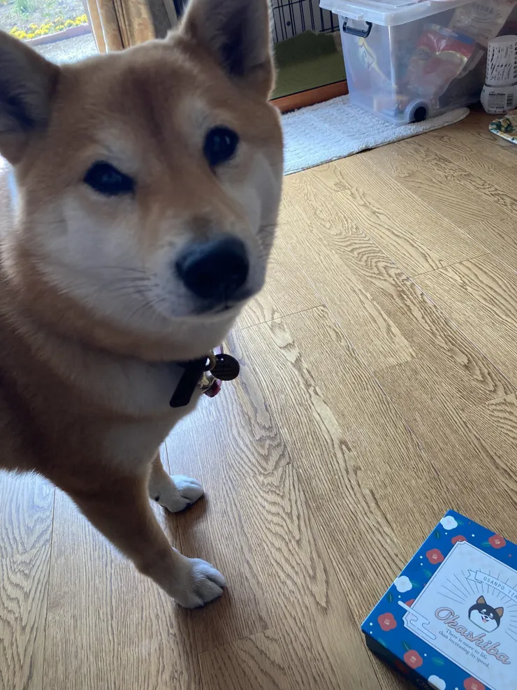 アイキャッチ
