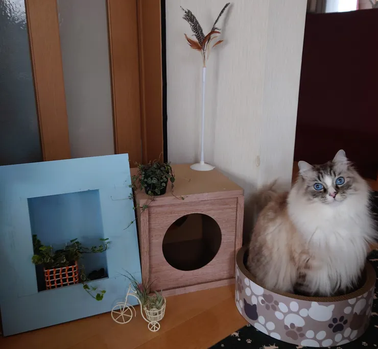 アイキャッチ