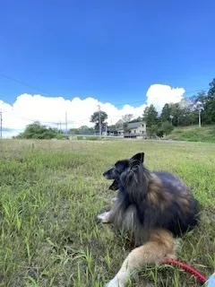 アイキャッチ