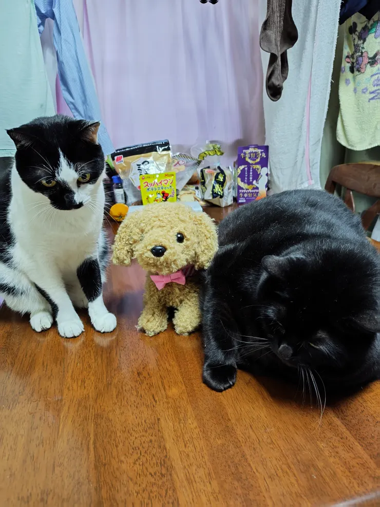 アイキャッチ