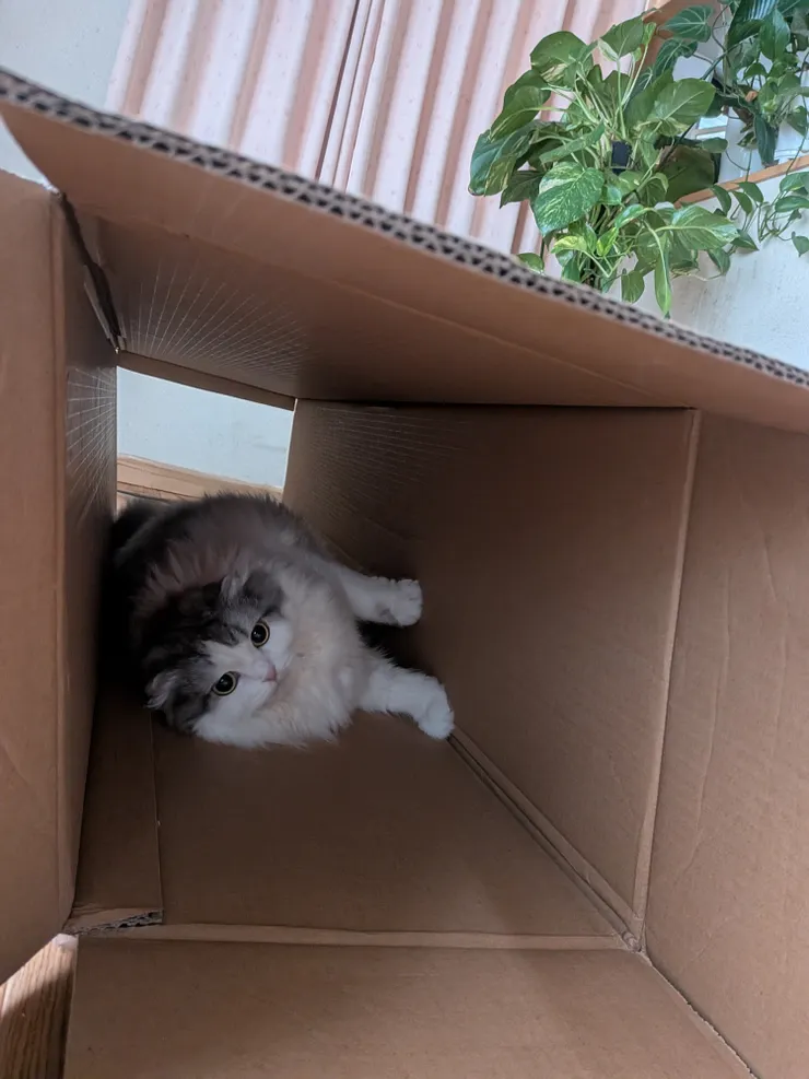 アイキャッチ