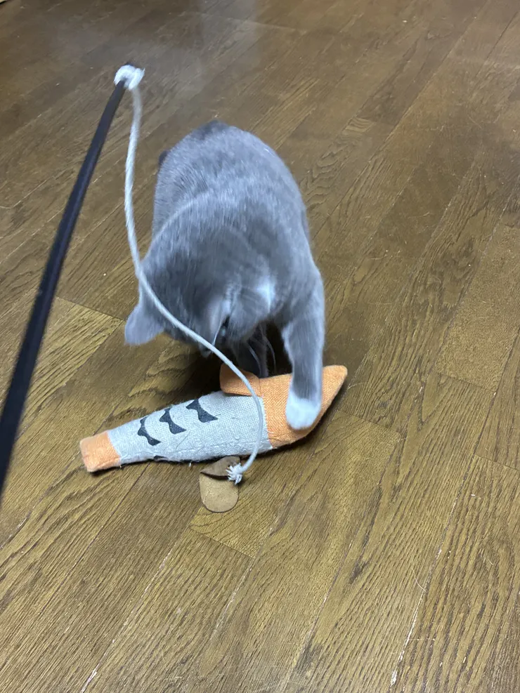 アイキャッチ
