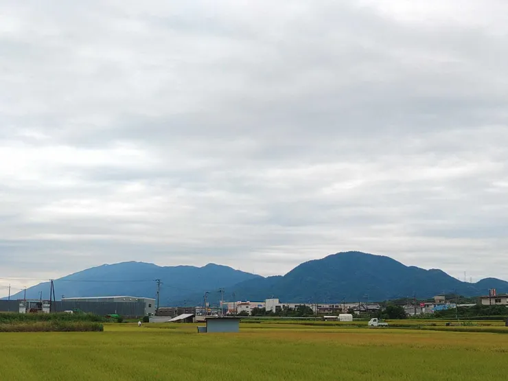 アイキャッチ