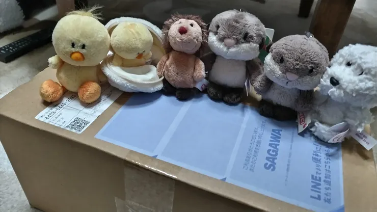 アイキャッチ