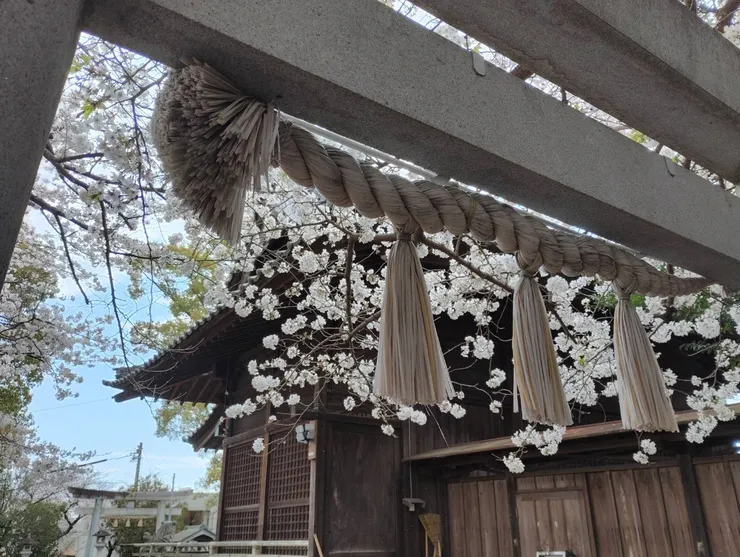 アイキャッチ