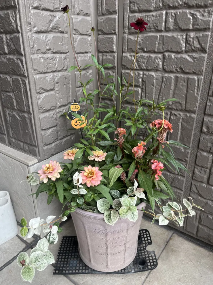 アイキャッチ