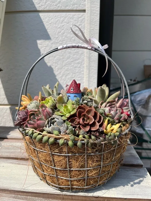 【CoCo ˚✧₊⁎】大人ピンクなナチュラル籠寄せ植え garden-elf_gib-505