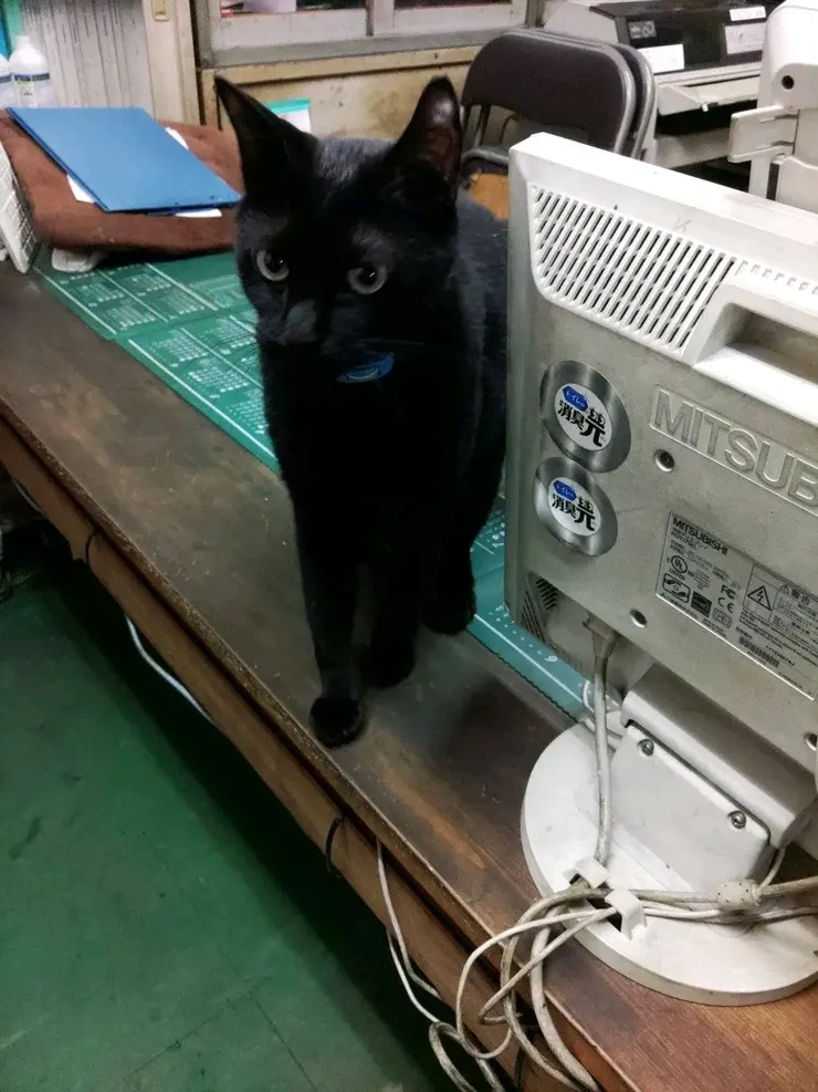 アイキャッチ