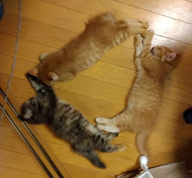 アイキャッチ
