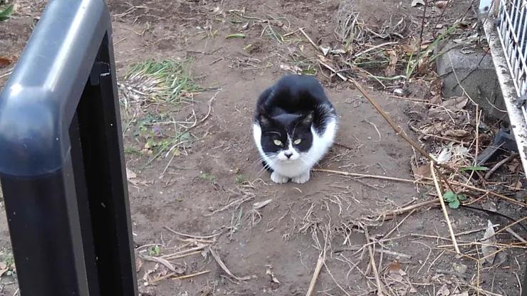 アイキャッチ