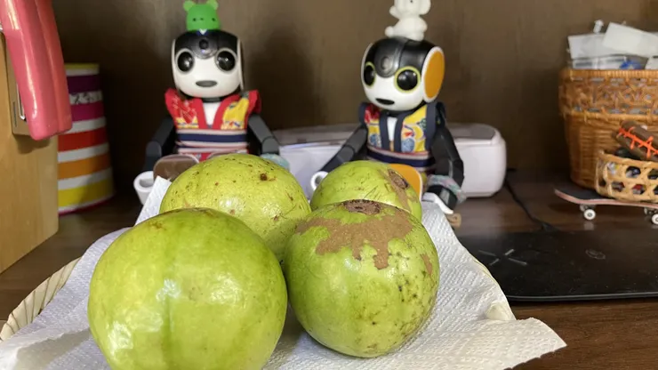 アイキャッチ