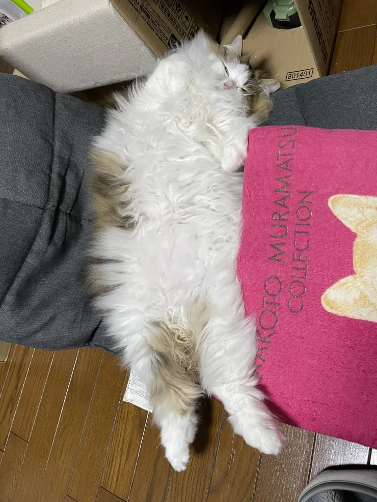アイキャッチ