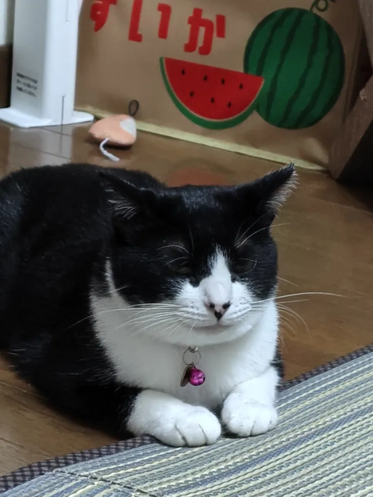 アイキャッチ