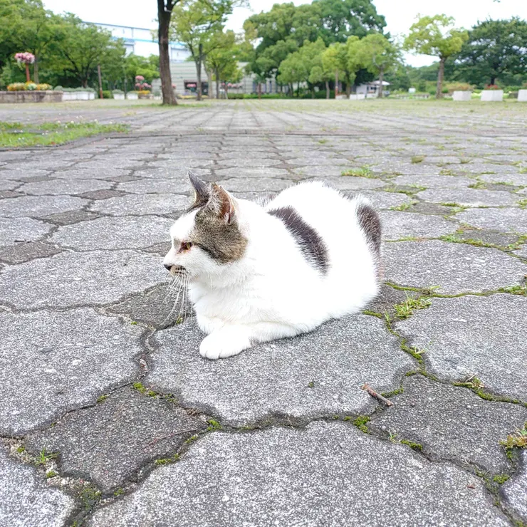 アイキャッチ