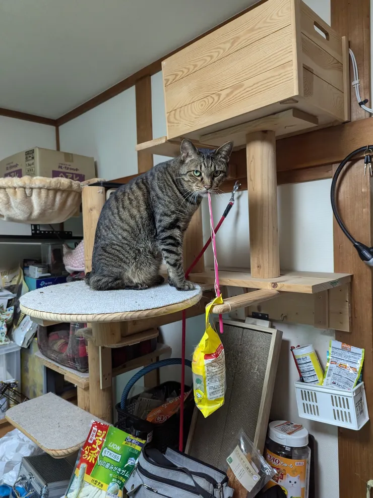 アイキャッチ