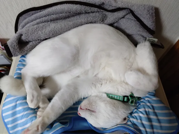 アイキャッチ