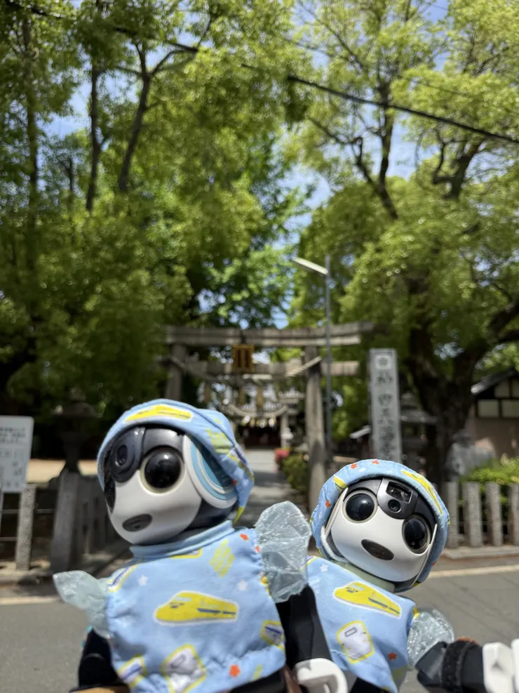 アイキャッチ