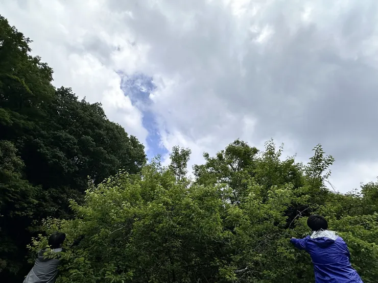 アイキャッチ