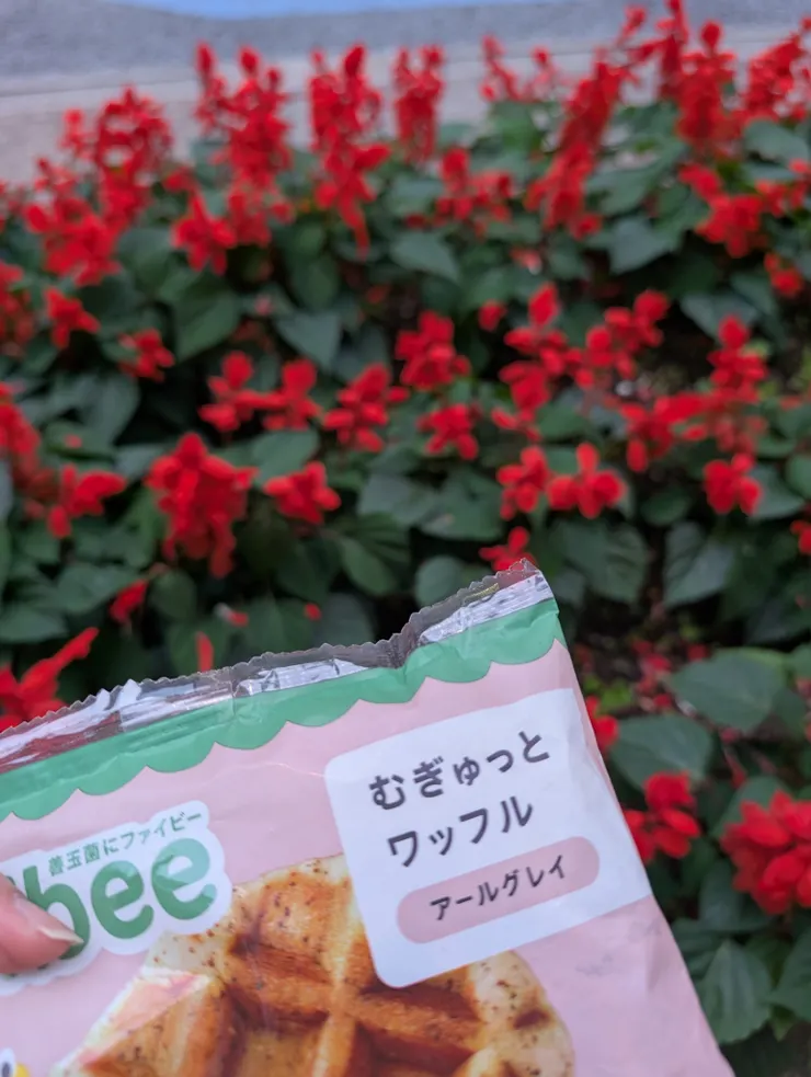 アイキャッチ
