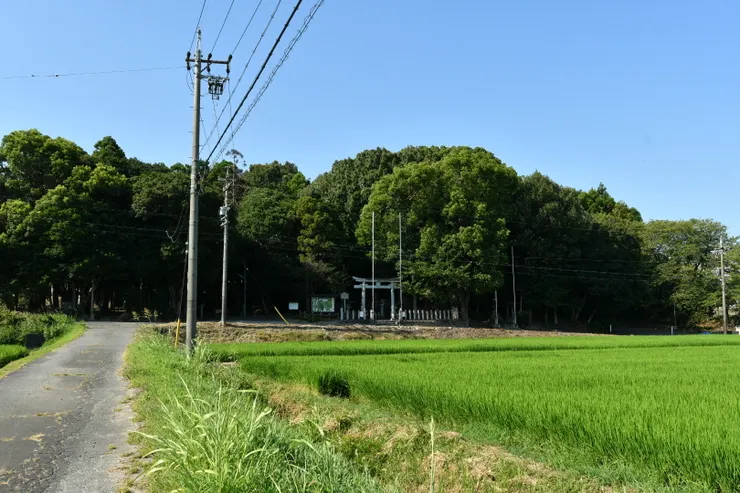 アイキャッチ
