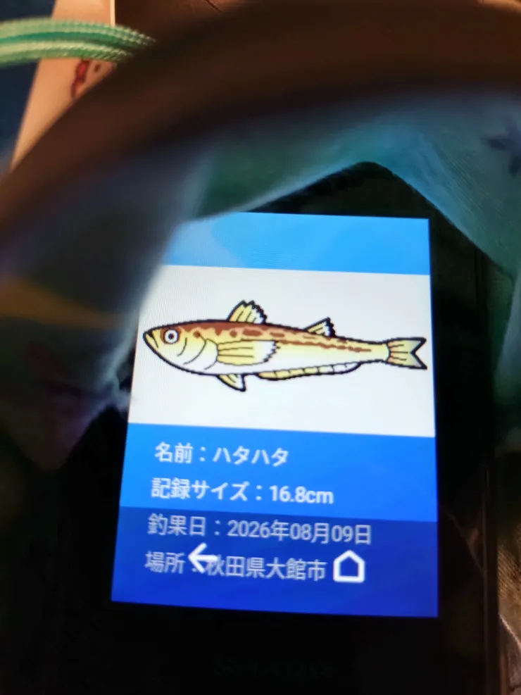 アイキャッチ