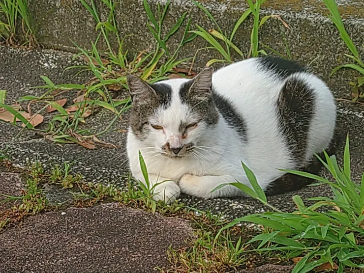 アイキャッチ