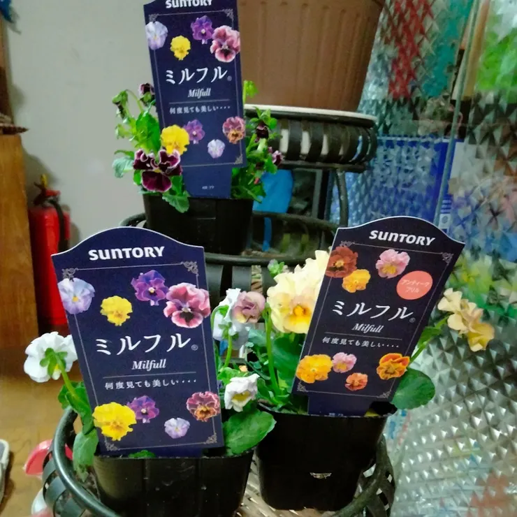 アイキャッチ