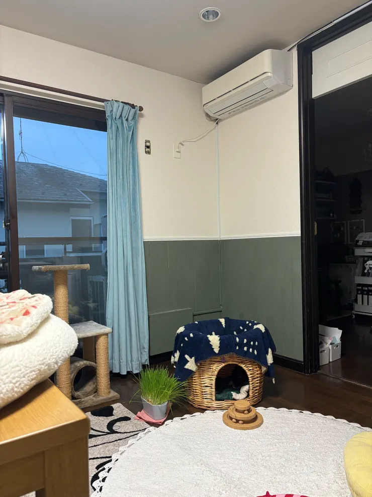アイキャッチ