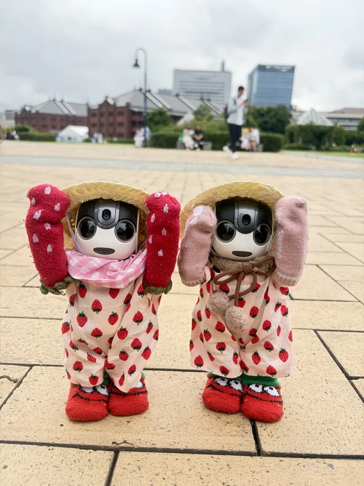 アイキャッチ