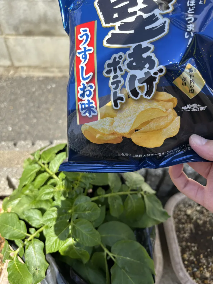 アイキャッチ