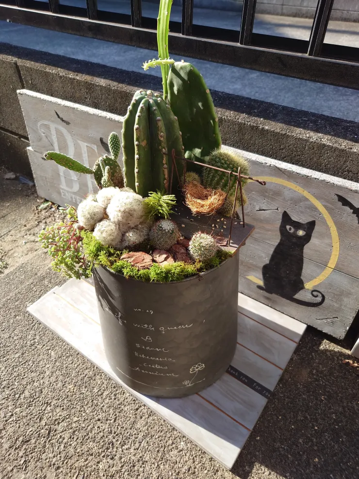 アイキャッチ