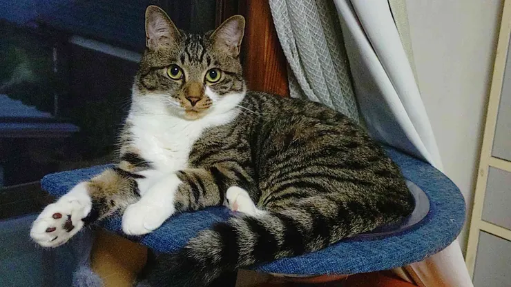 アイキャッチ