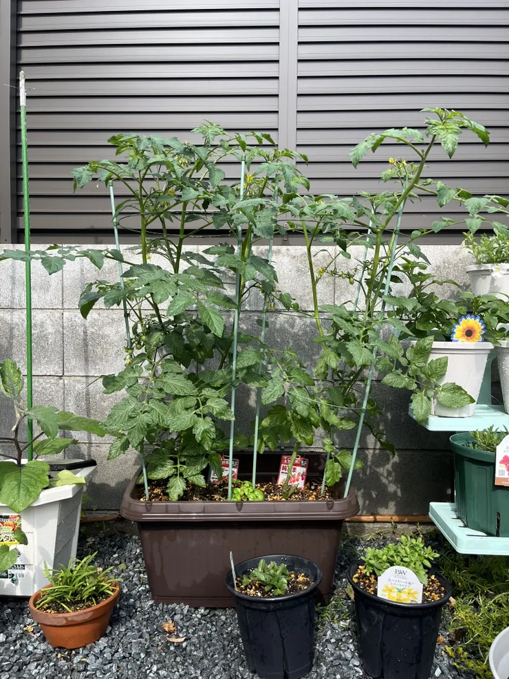 アイキャッチ