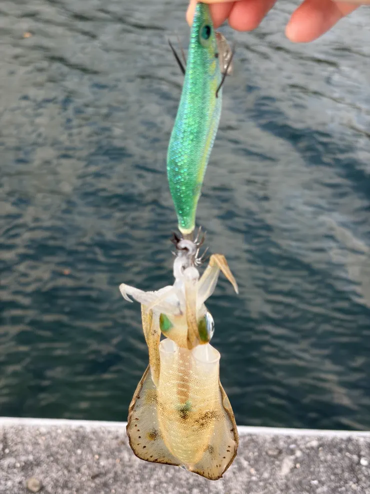 アイキャッチ