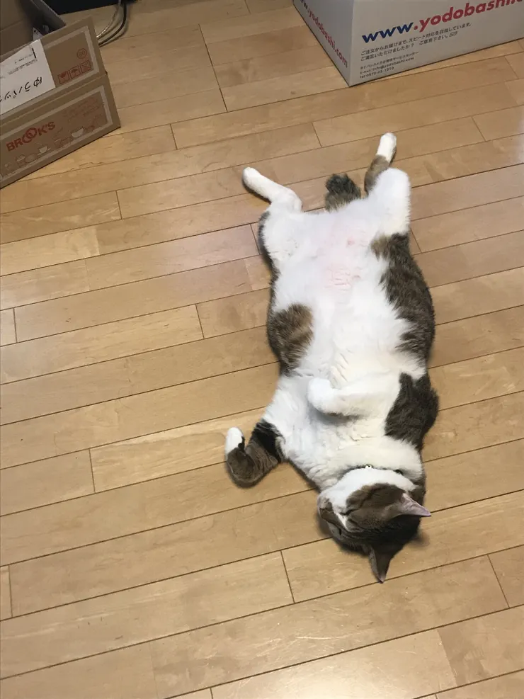 アイキャッチ
