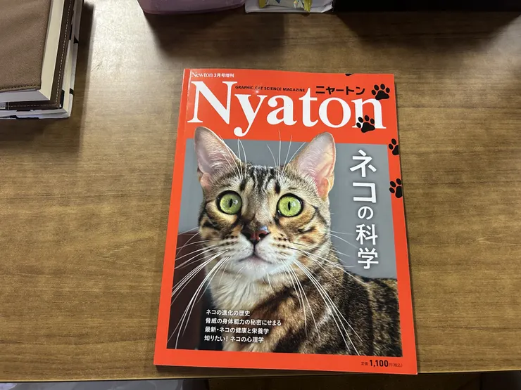アイキャッチ