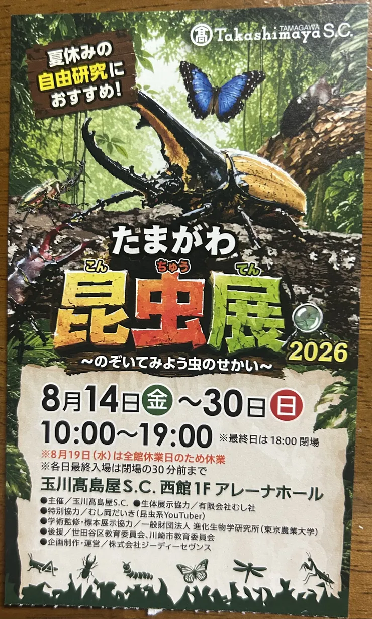 アイキャッチ